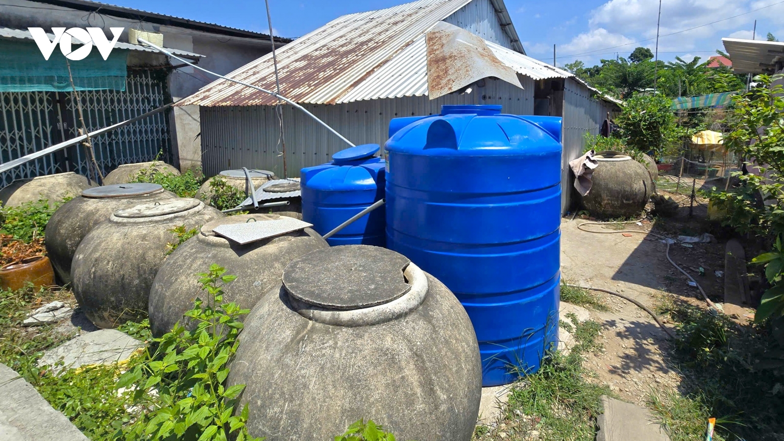 Cơn khát nước sạch giữa vùng đất nhiễm phèn mặn ở Biển Bạch, Cà Mau