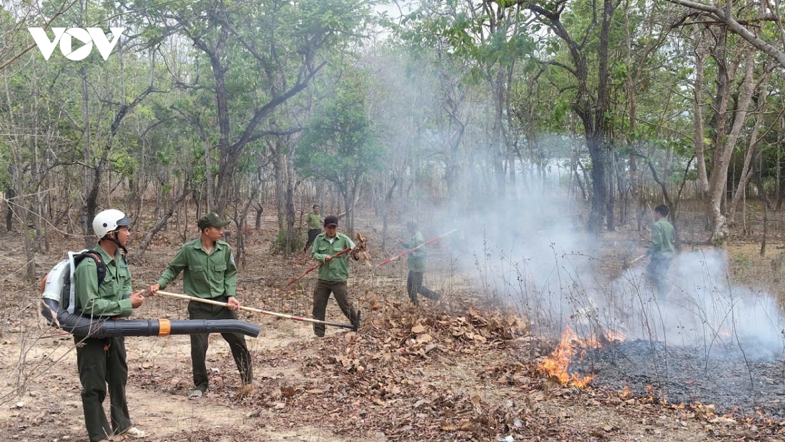 Chủ động giữ rừng ở Lâm Đồng trong cao điểm mùa khô