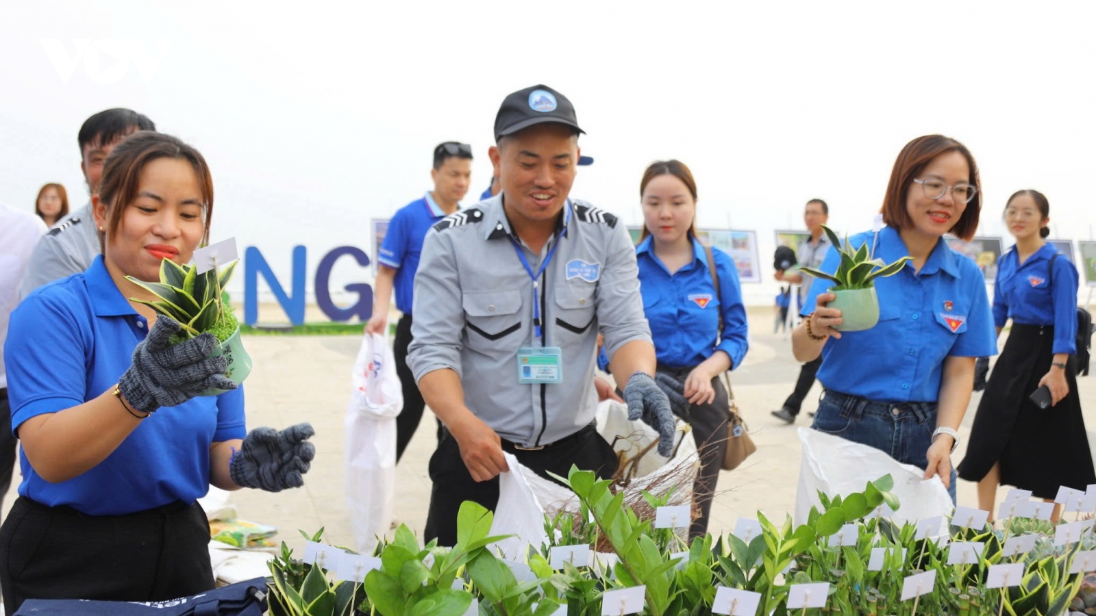 Tuổi trẻ Đà Nẵng chung tay làm sạch bãi biển