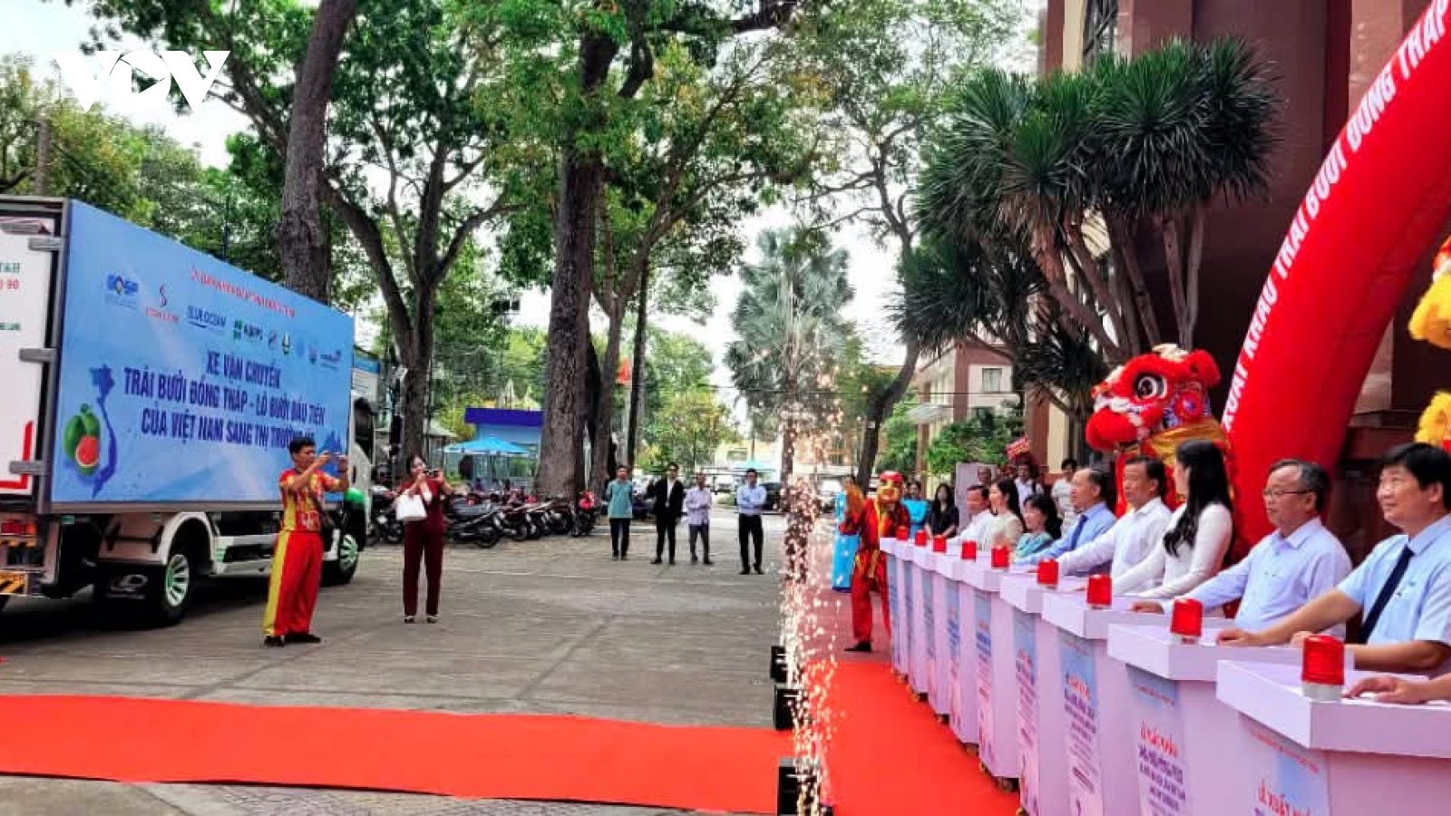 Dong Thap exports first batch of green-skin pomelos to Australia