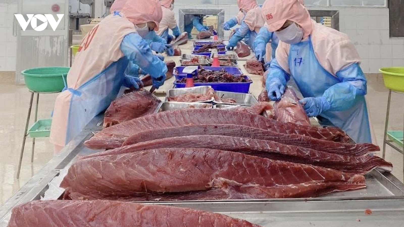 Ngành thuỷ sản Đắk Lắk nỗ lực nâng cao giá trị