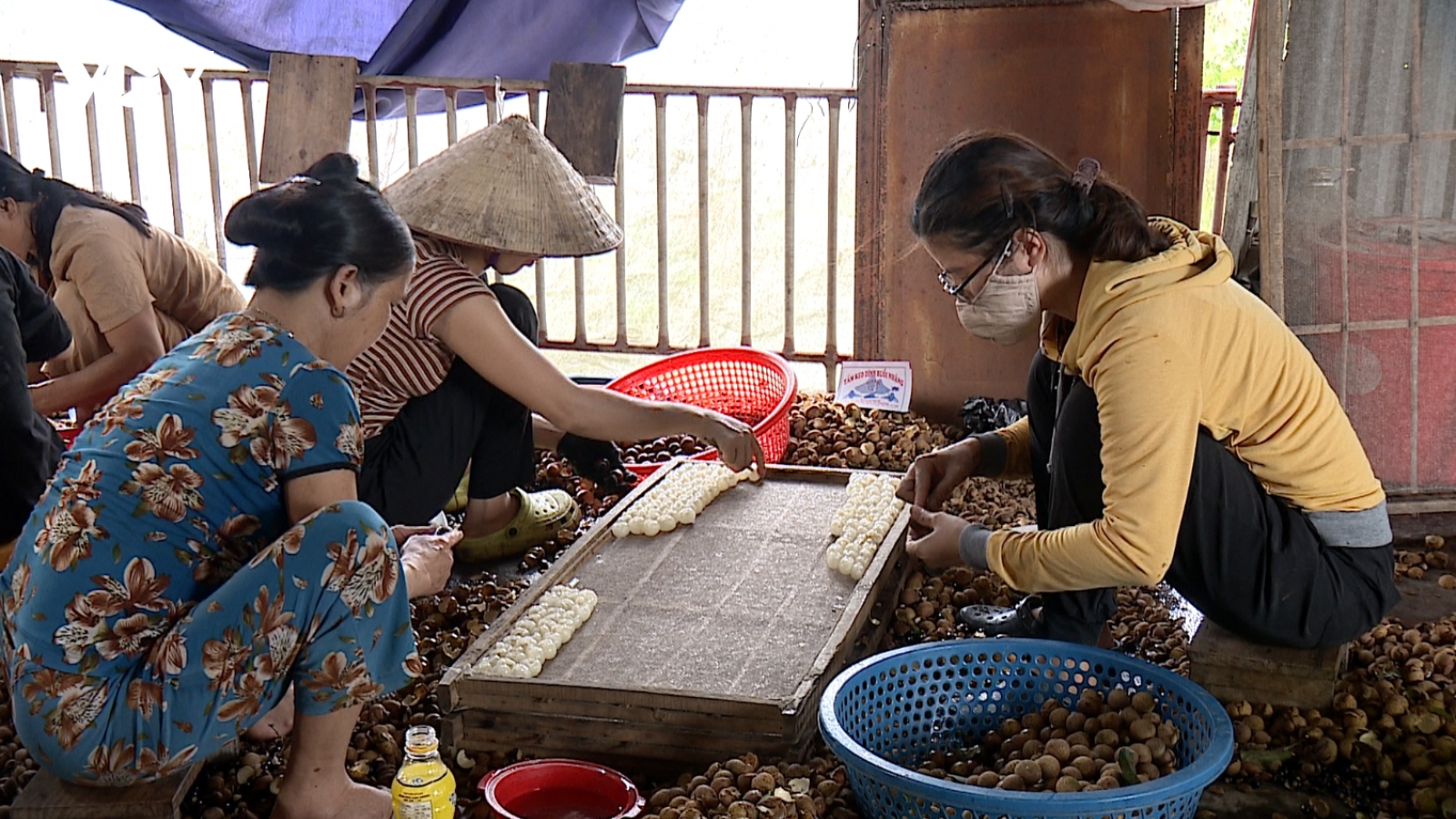 Khơi thông “mạch vốn” cho khu vực kinh tế tập thể