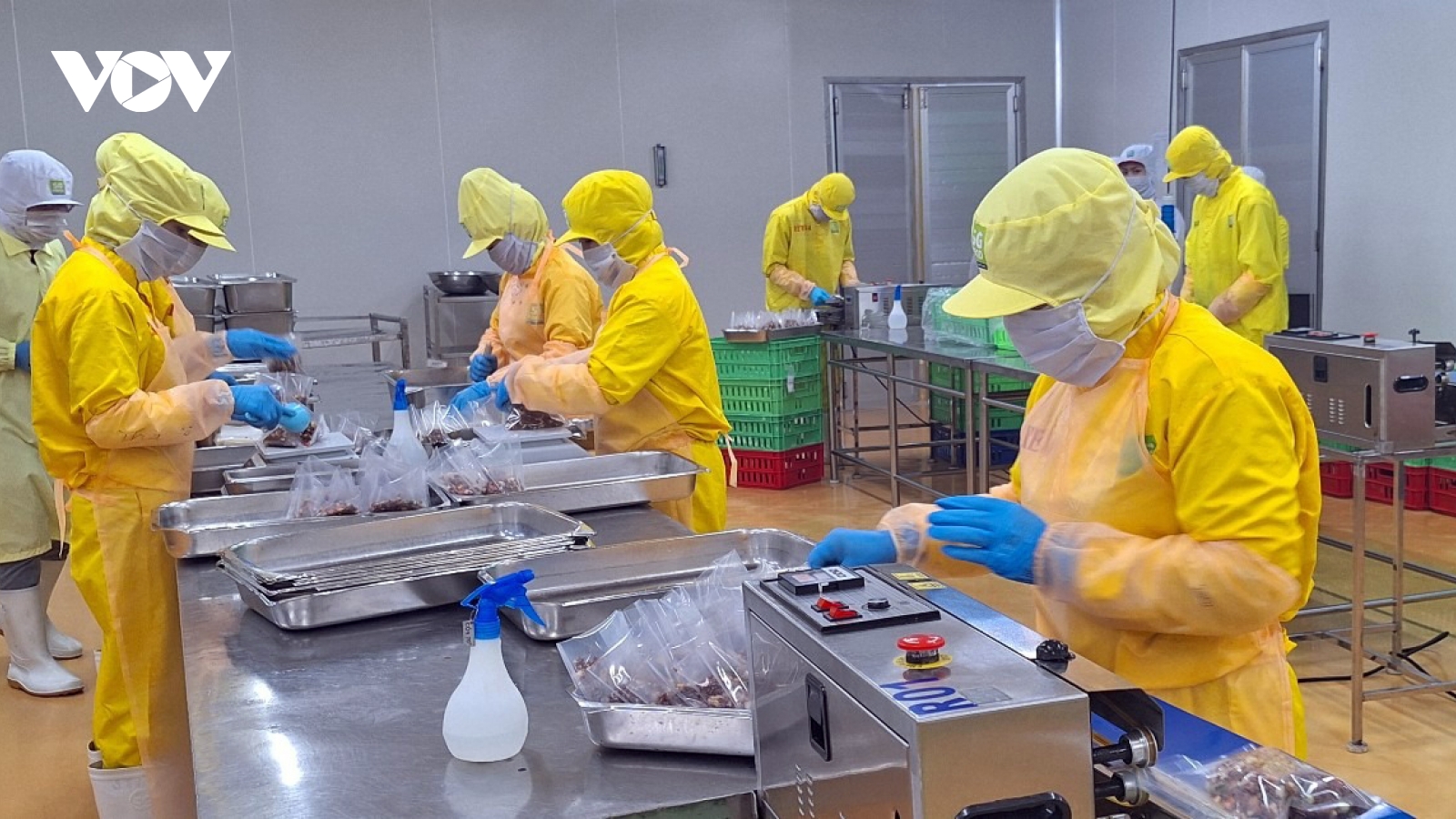 Halal market: A breakthrough opportunity for Vietnam’s agricultural exports