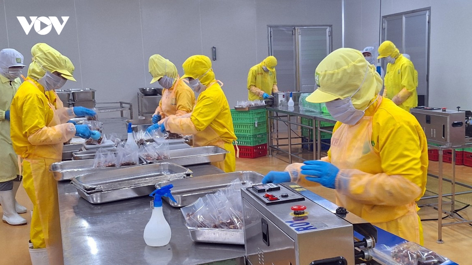 Halal market: A breakthrough opportunity for Vietnam’s agricultural exports