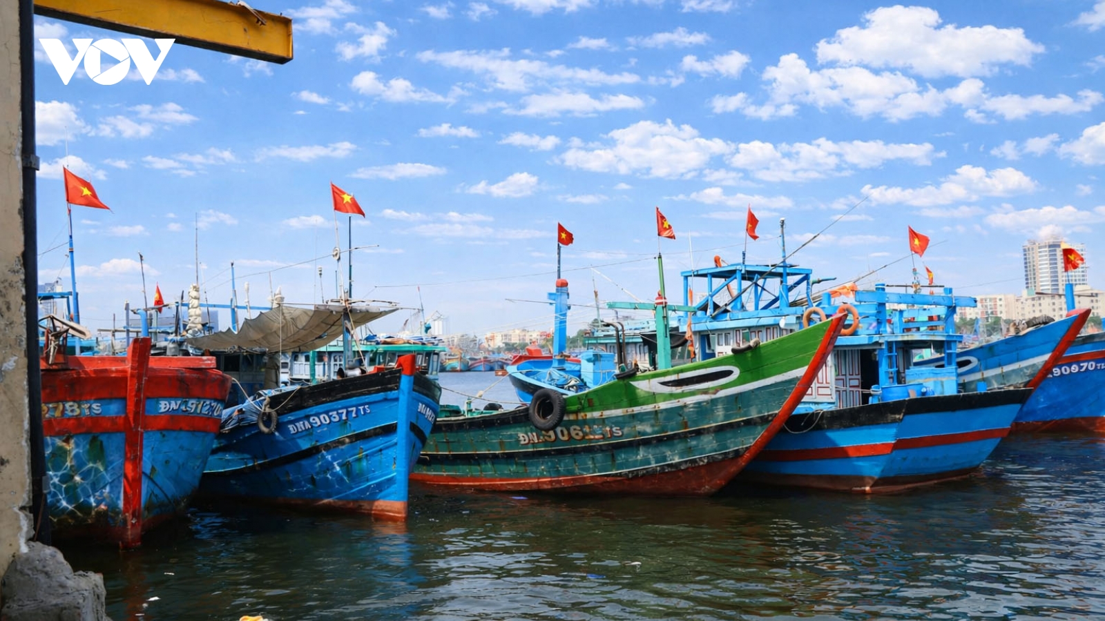 Đà Nẵng tái định hình hạ tầng nghề cá trong không gian phát triển mới