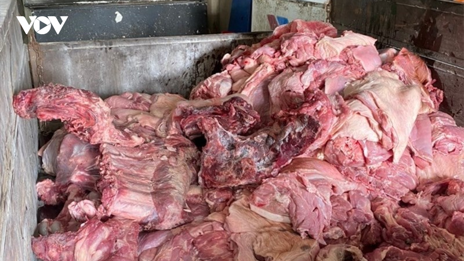 300 tấn thịt lợn nhiễm bệnh được đưa vào trường học là tội ác