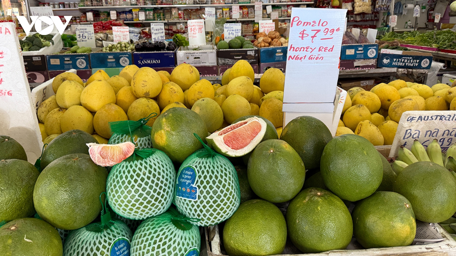 Vietnamese green-skin pomelo hits the shelves in Australia