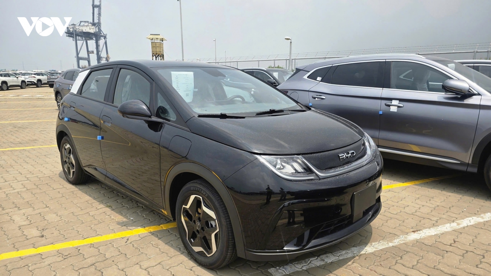 BYD Dolphin 2026 chuyển sang nhập Thái Lan để cạnh tranh với Geely EX2?