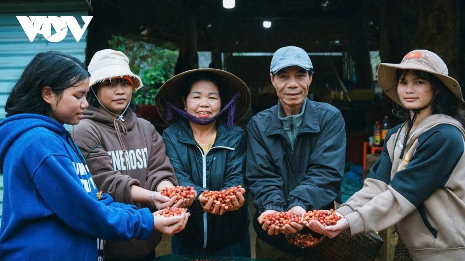 Giá cà phê hôm nay 22/5: Cà phê trong nước 86.100 đồng/kg