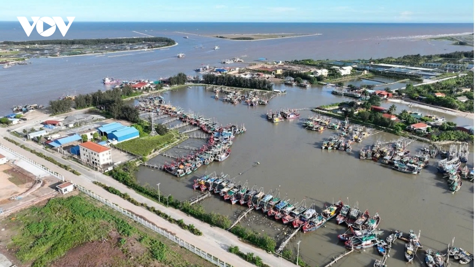 Ninh Bình lập tổ công tác liên ngành chống khai thác thủy sản bất hợp pháp