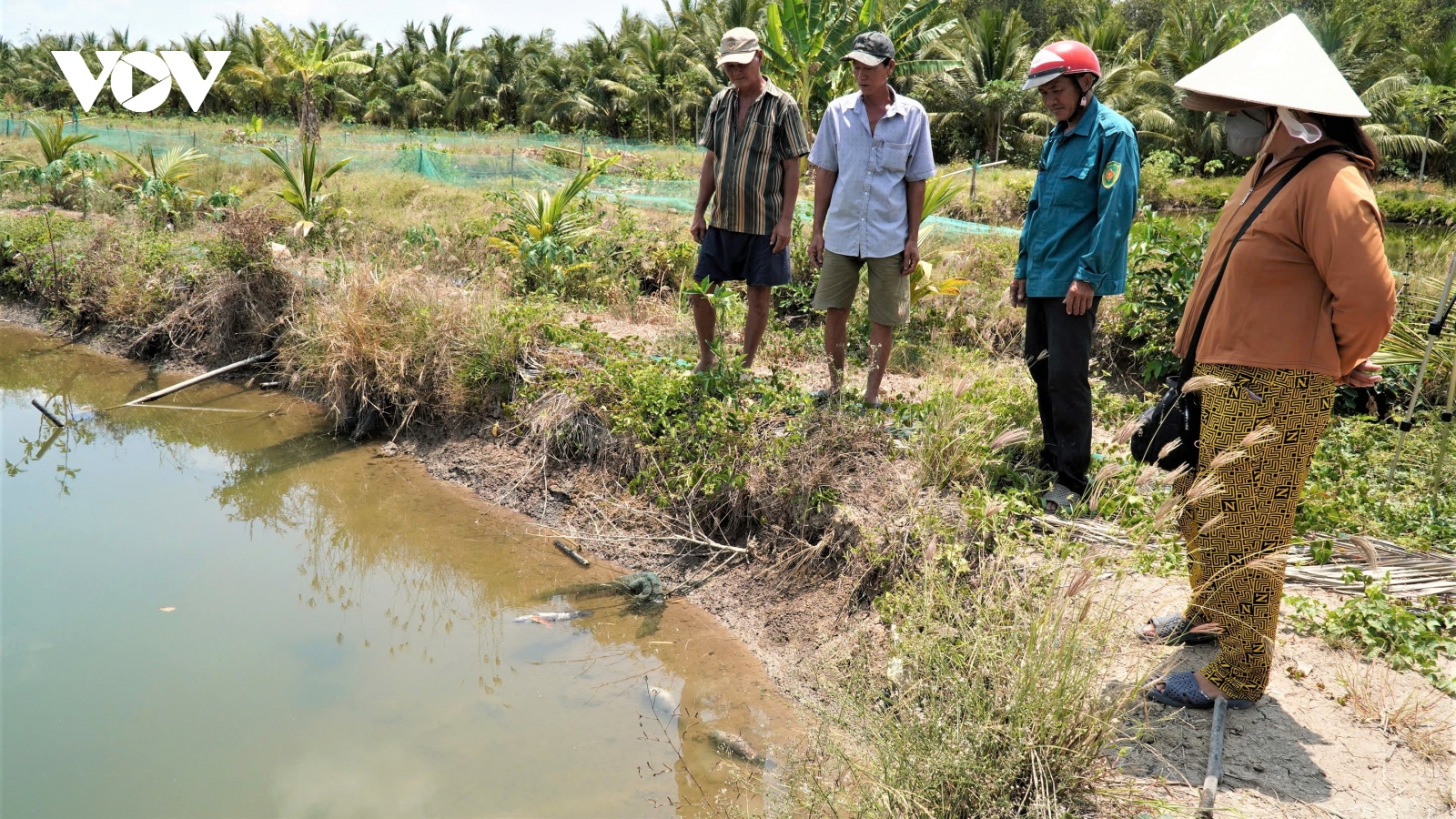 Cá chết hàng loạt quanh khu bơm cát dự án nâng cấp sân bay Cà Mau