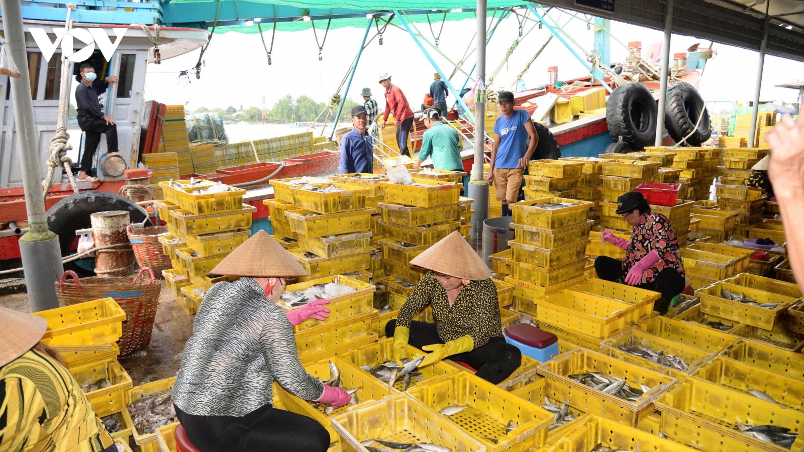 Đồng Tháp triển khai số hóa trong quản lý tàu cá để phòng chống vi phạm IUU