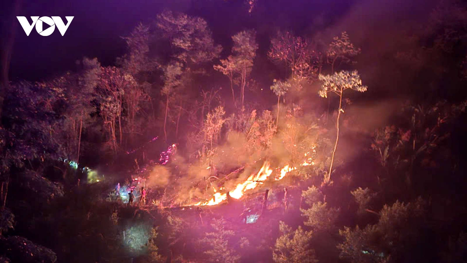 Khống chế kịp thời cháy rừng phòng hộ tại Tân Uyên