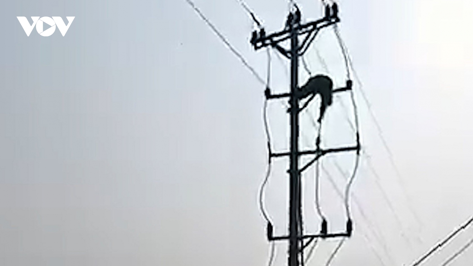 Nam sinh lớp 8 ở Nghệ An tử vong do điện giật