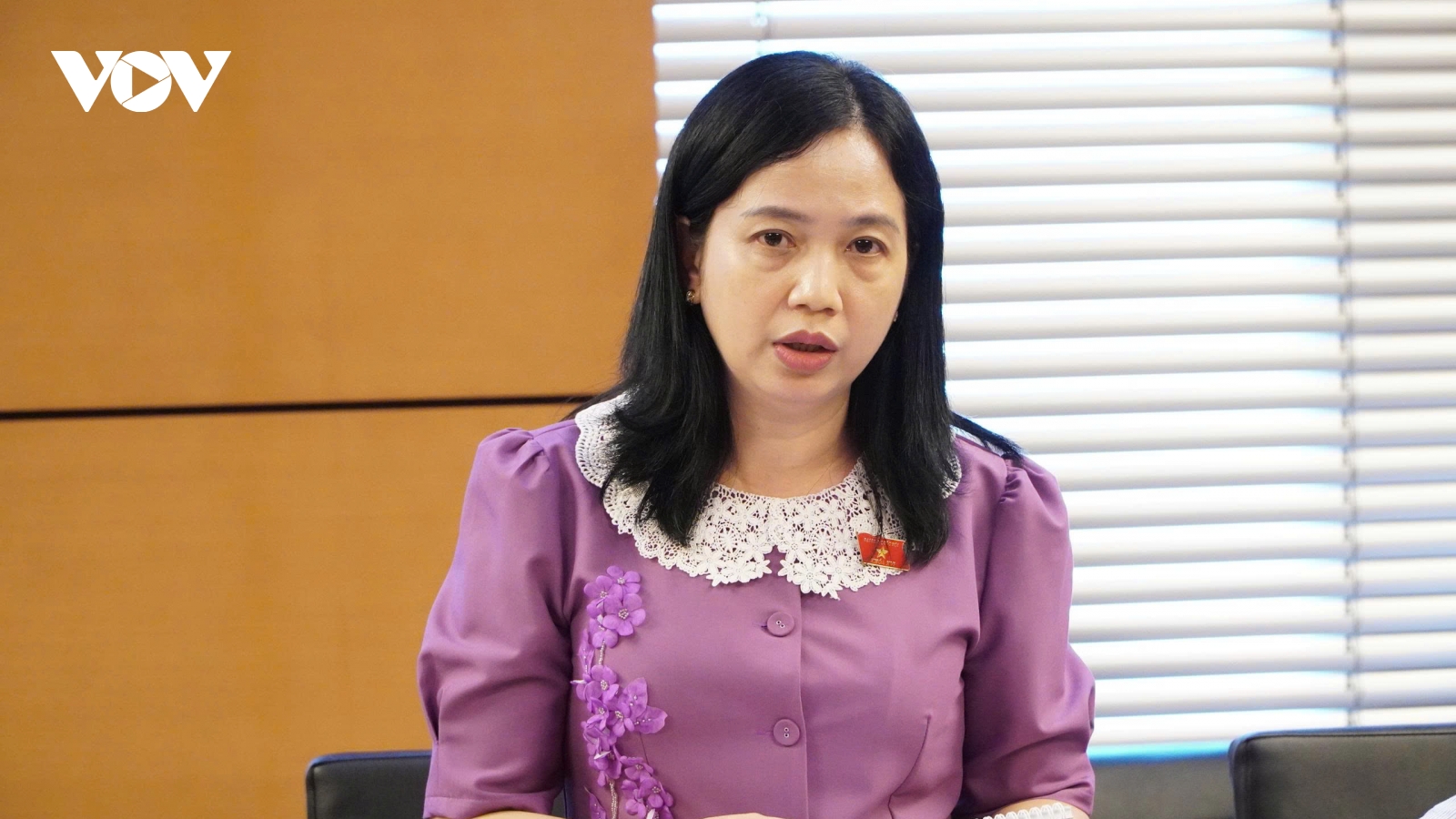 ĐBQH: Tiểu thương “mất ăn mất ngủ” vì nợ thuế, đề nghị sửa luật kịp thời