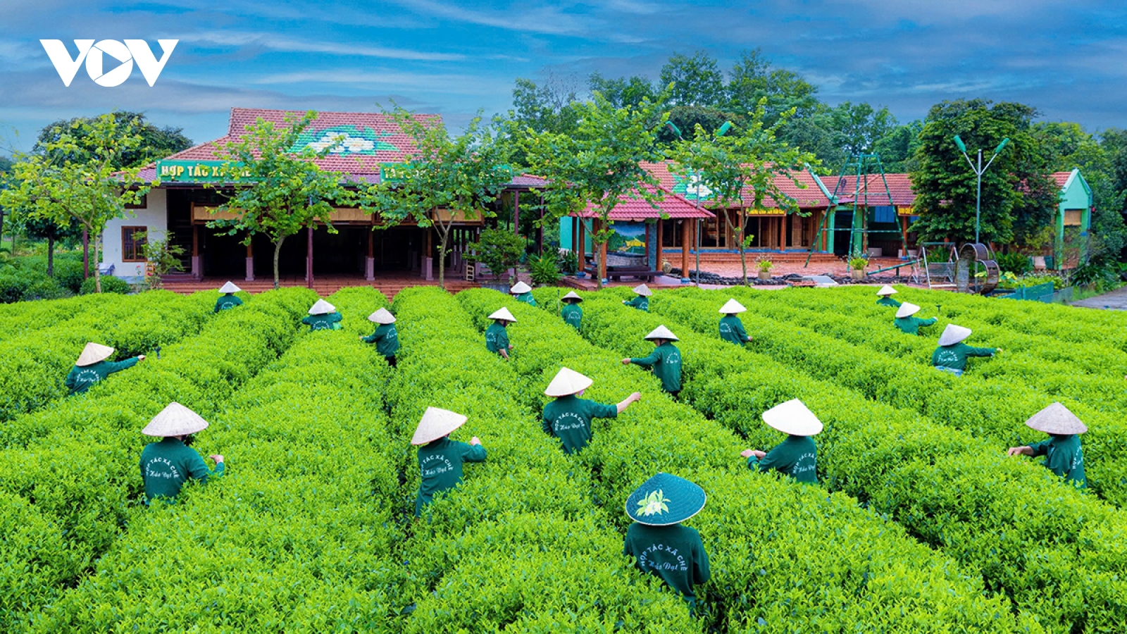 Du lịch Thái Nguyên khởi sắc từ đầu năm