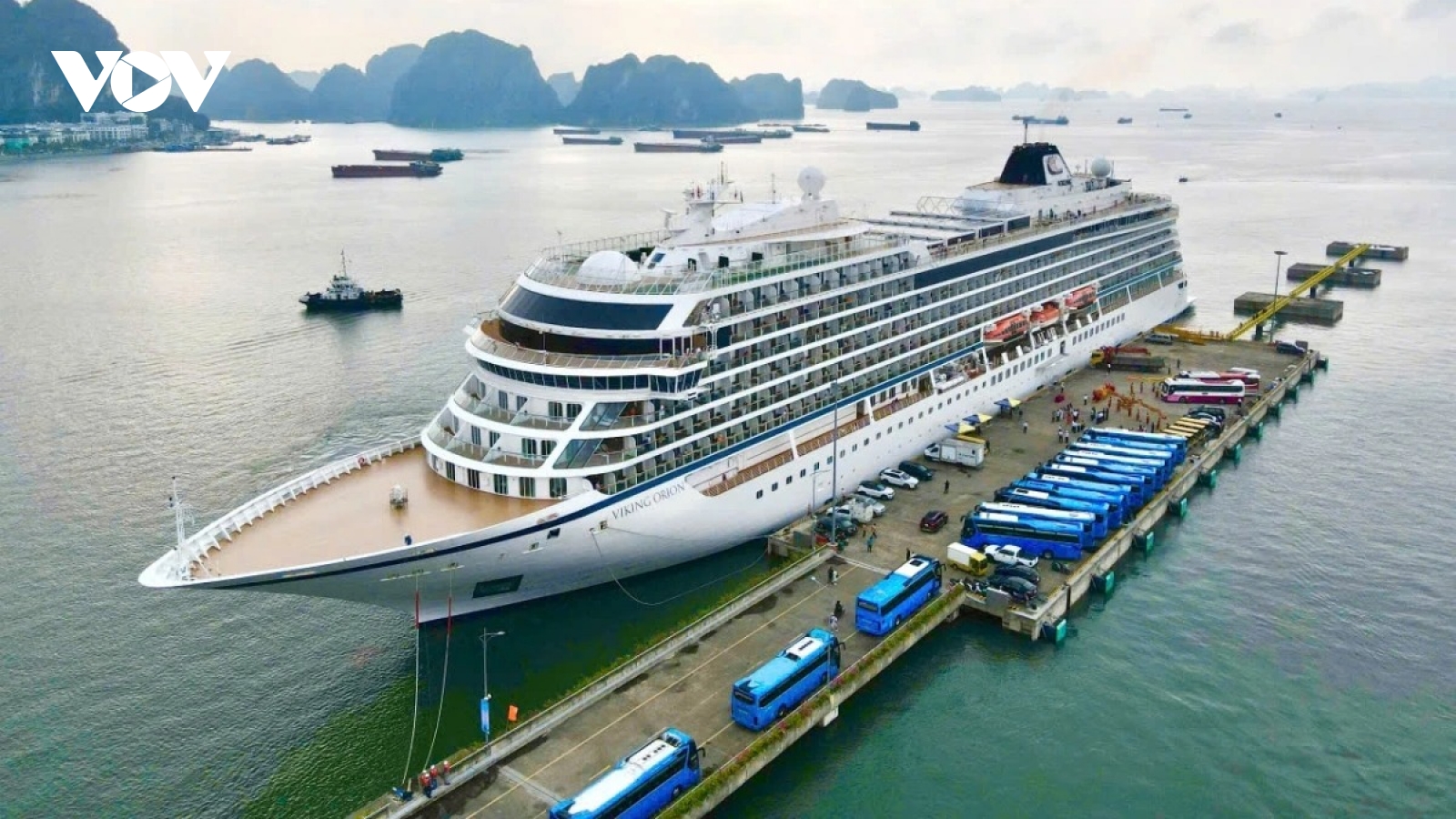 Du lịch tàu biển Việt Nam cần được "tiếp sức"