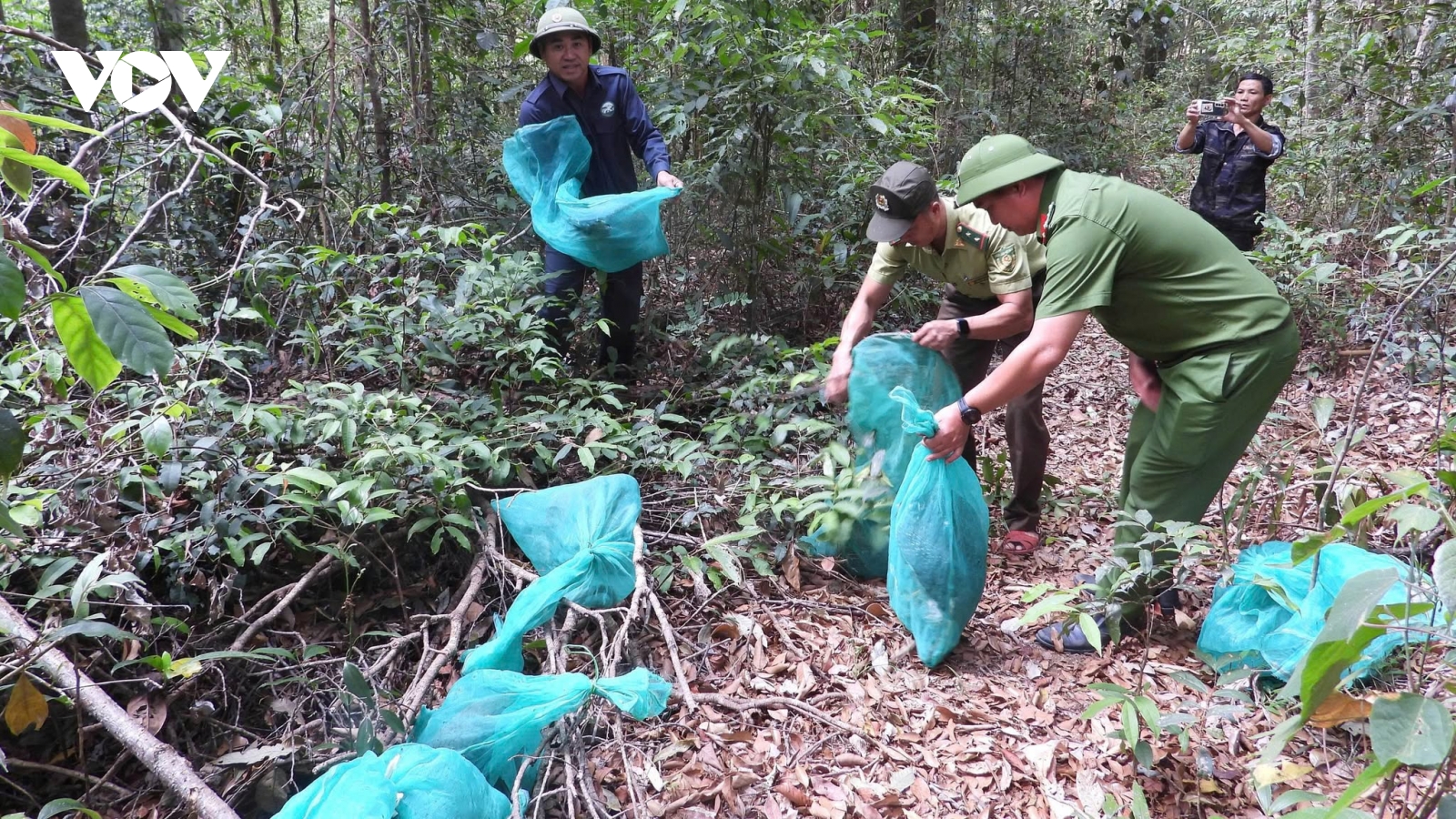 Gia Lai tái thả 8 cá thể động vật hoang dã quý hiếm về rừng tự nhiên