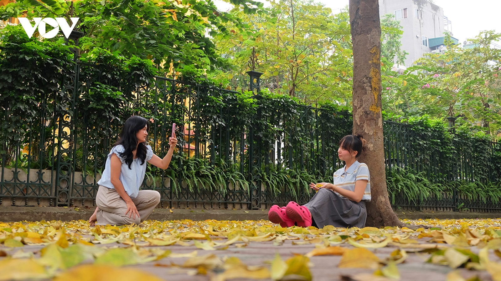 Phố Hà Nội đẹp dịu dàng mùa sấu rụng lá