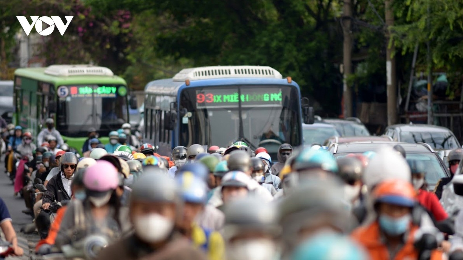 Miễn phí xe buýt - tạo cú hích cho giao thông công cộng TP.HCM