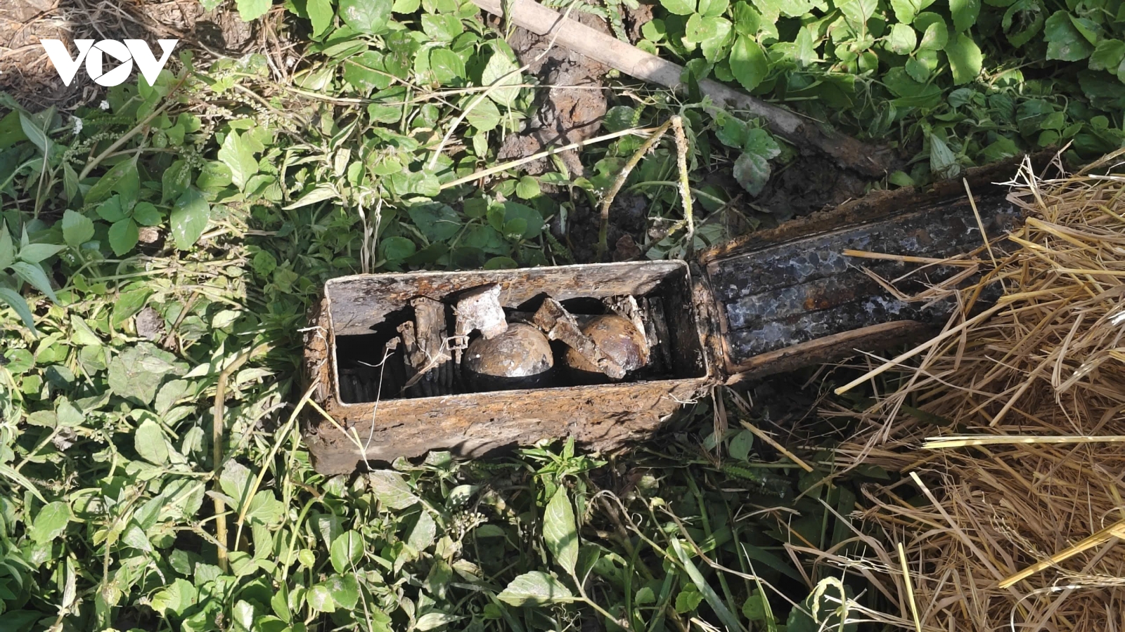 Phát hiện, thu gom 2 lựu đạn và hơn 600 viên đạn nguy hiểm ở Vĩnh Long