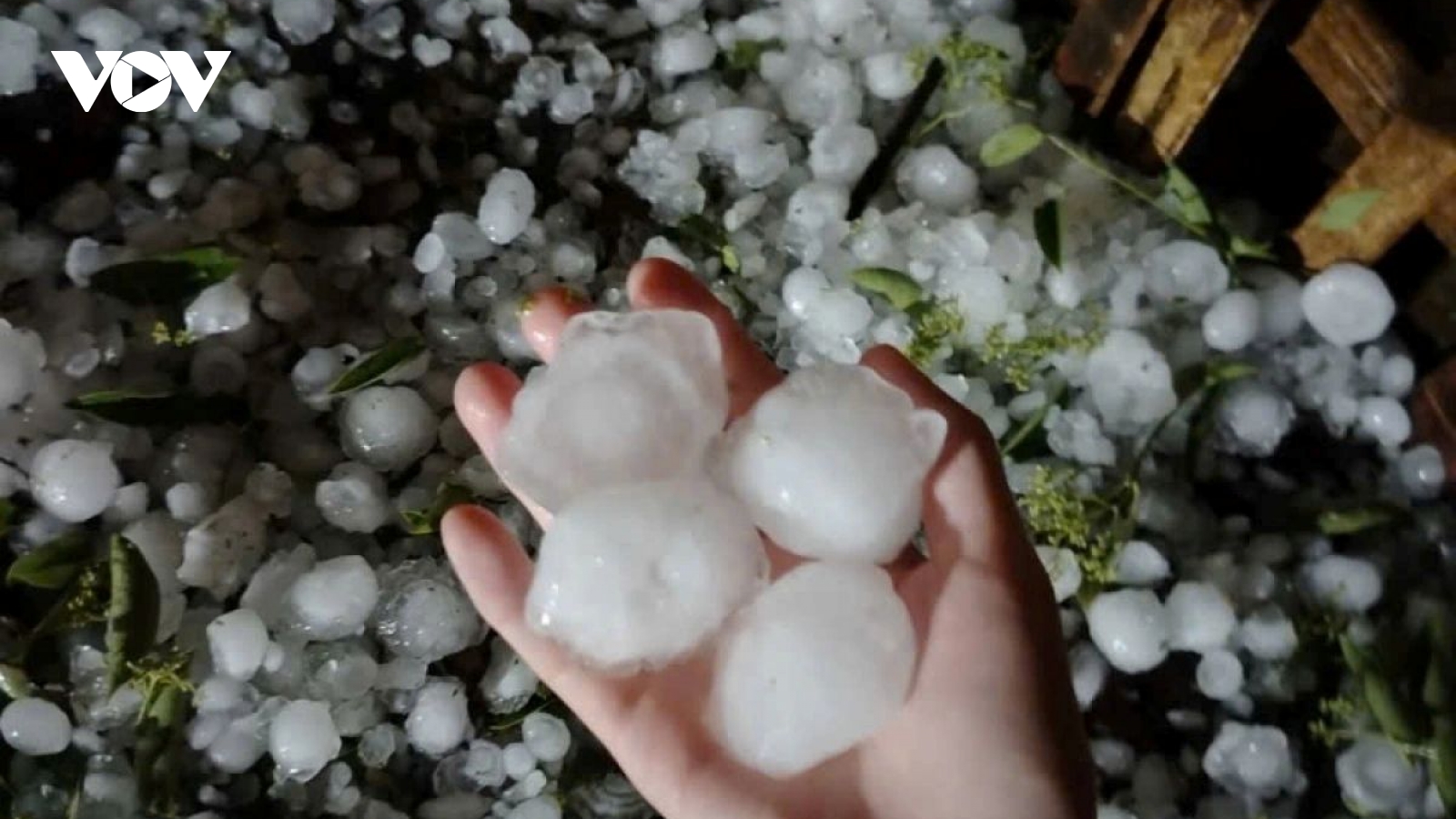 Large hailstorm causes damage in northern Vietnam