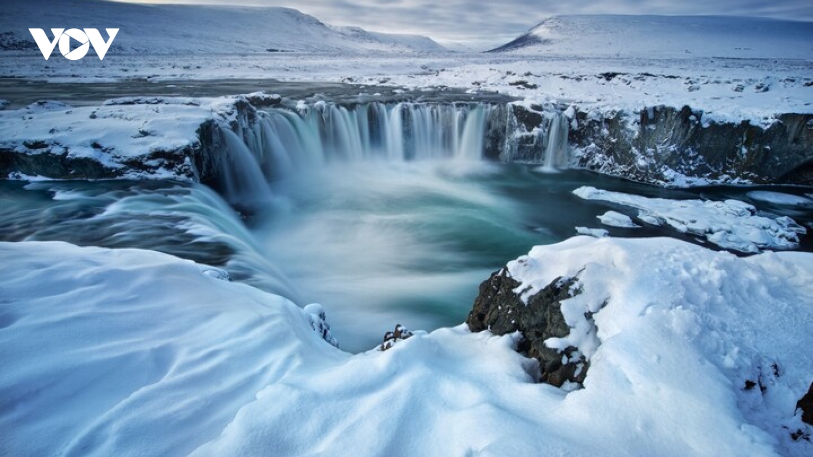 Vì sao Iceland không có con muỗi nào?