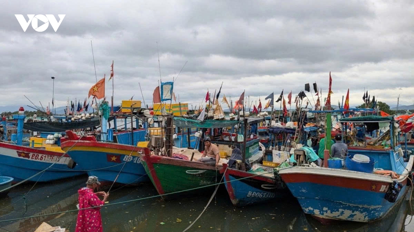 Chống khai thác IUU, Gia Lai đã lắp đặt nhật ký điện tử cho hơn 3.000 tàu cá