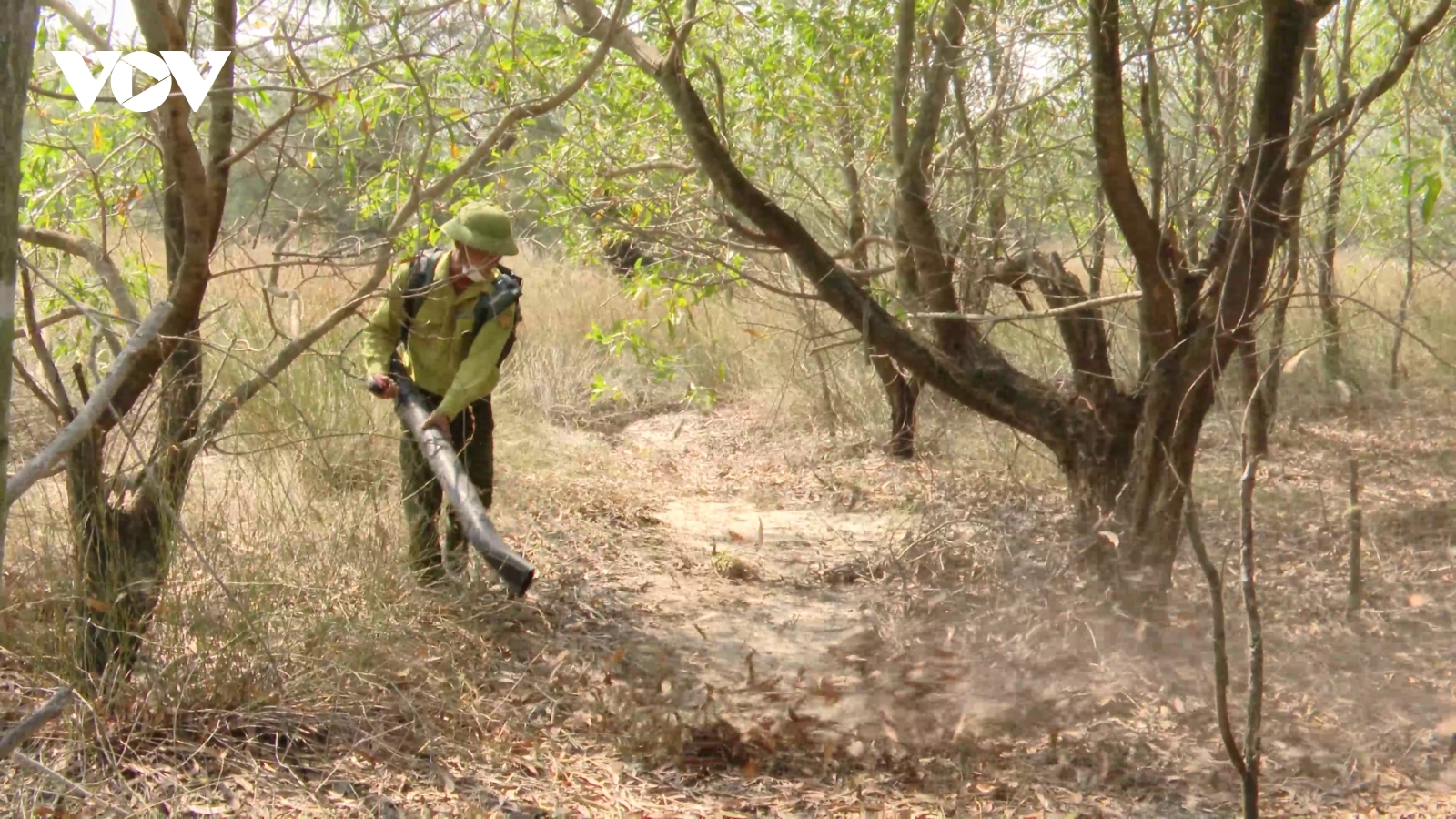 Lập chốt trên các lối đi, ngăn người dân đưa mồi lửa vào rừng tại Quảng Trị