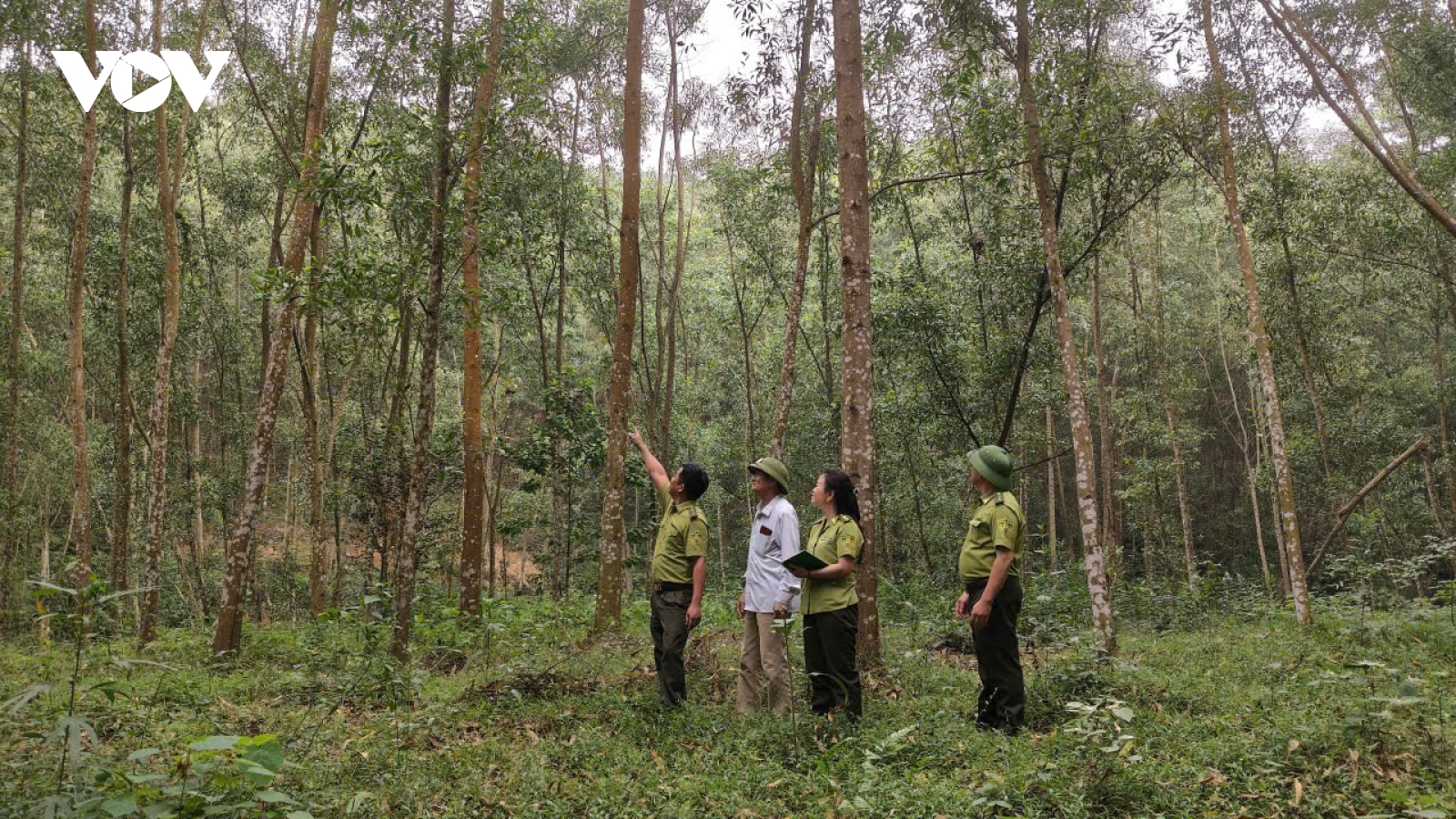 Giữ rừng mùa hanh khô ở Thái Nguyên