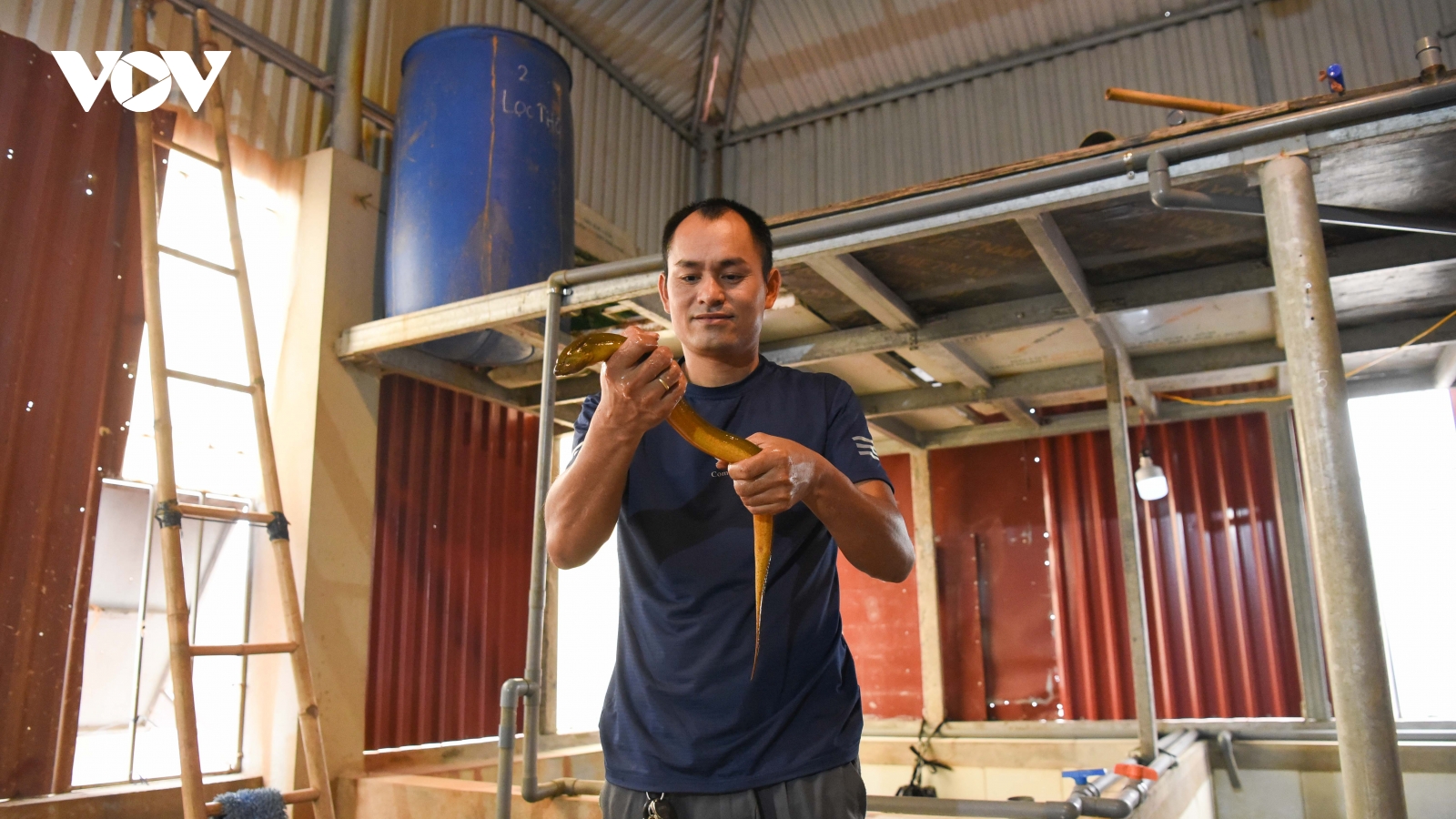 Mô hình nuôi lươn "độc lạ" trên tầng thượng ở Bắc Ninh, hiệu quả bất ngờ