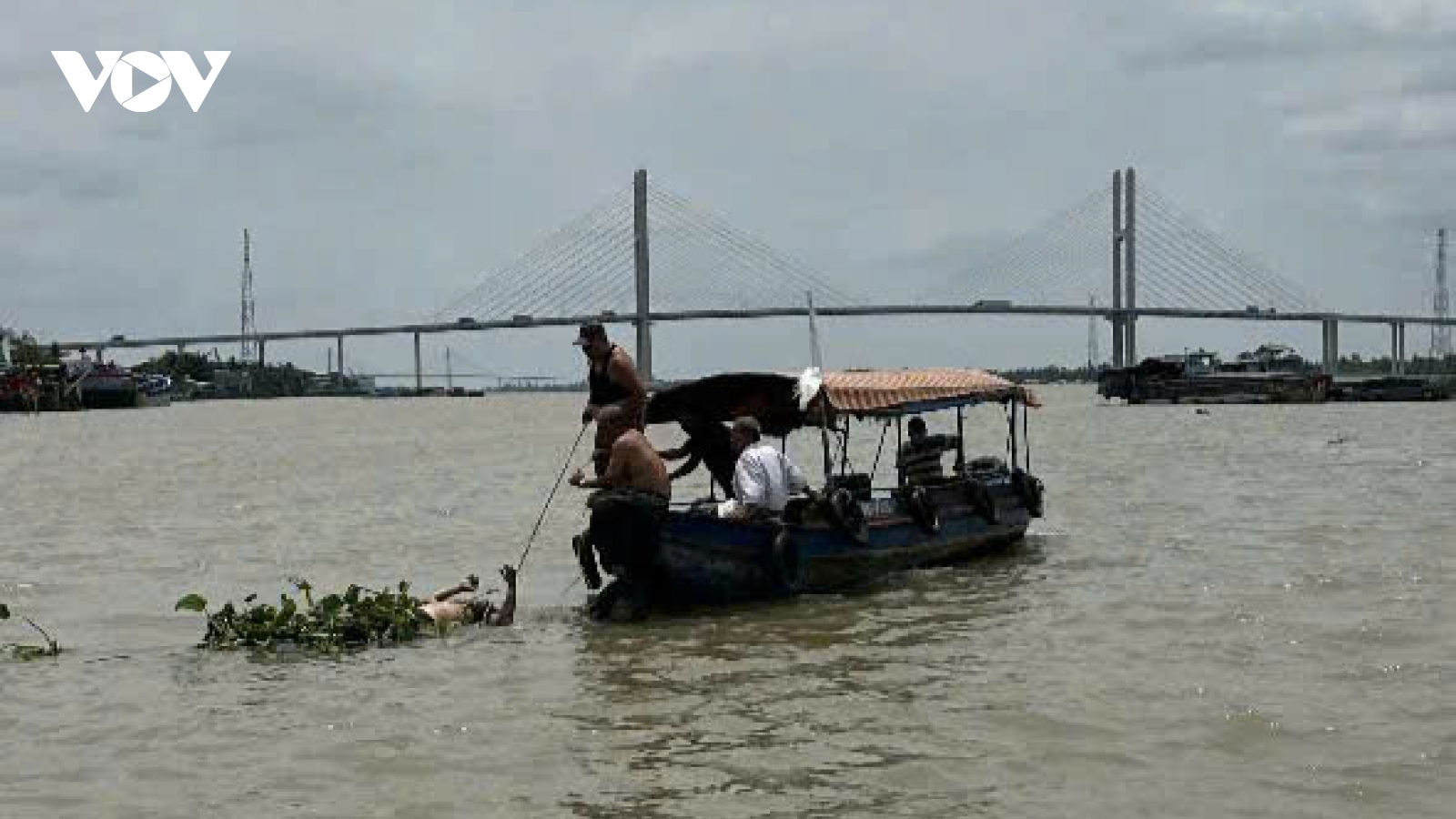 Tình hình trật tự, an toàn xã hội ở tỉnh Đồng Tháp diễn biến phức tạp