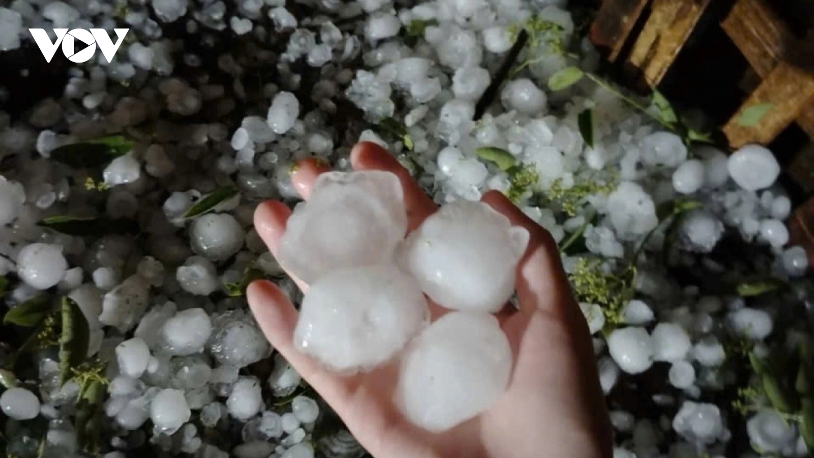 Dông lốc, mưa đá ở Lào Cai gây thiệt hại ước tính hơn 30 tỉ đồng