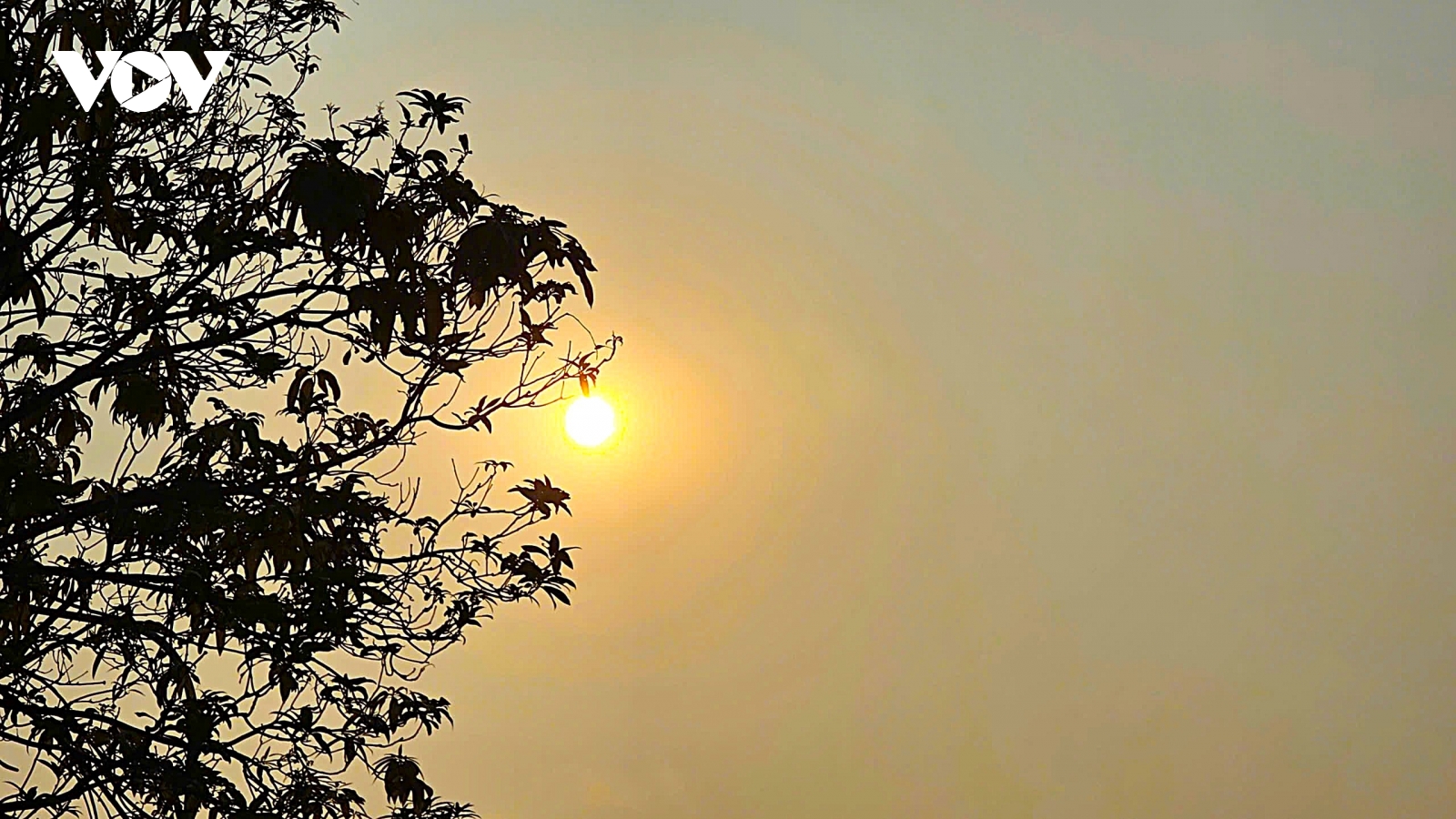 Thời tiết Nghệ An – Hà Tĩnh xuất hiện dấu hiệu cực đoan ngay từ đầu năm