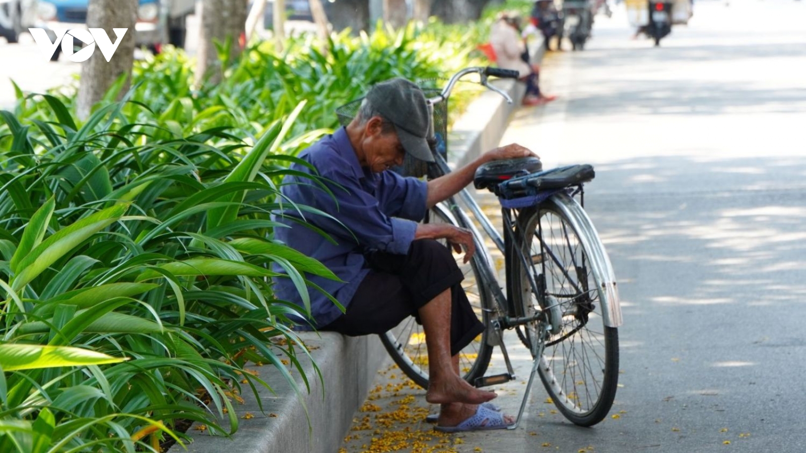 Nắng nóng làm đảo lộn cuộc sống và sinh hoạt của người dân cố đô Huế