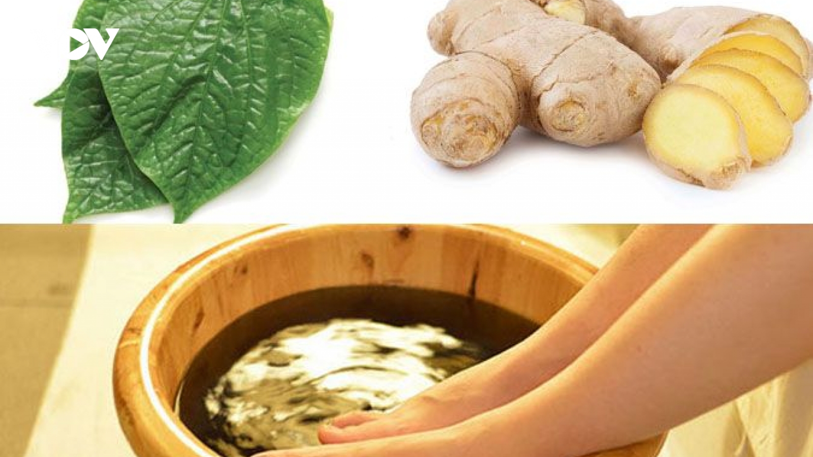 Ngâm chân lá lốt gừng muối: Bài thuốc dân gian đơn giản nhưng cần dùng đúng cách