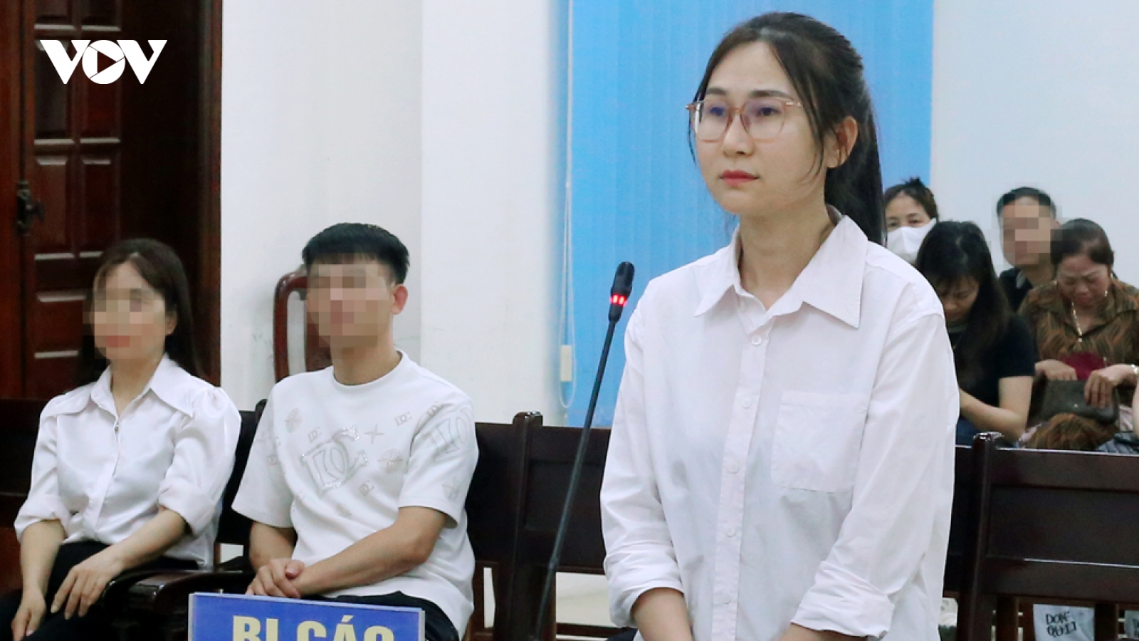 Thuê 34 xe ô tô đem cầm cố, người phụ nữ ở Bắc Ninh lĩnh án 26 năm tù