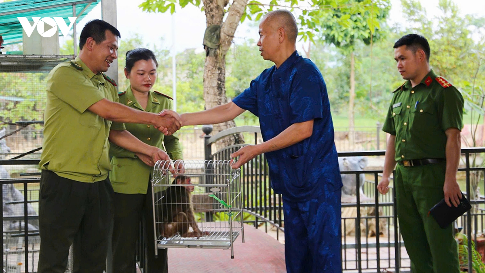 Lào Cai: Người dân tìm thấy cá thể khỉ mặt đỏ, bàn giao cho cơ quan chức năng