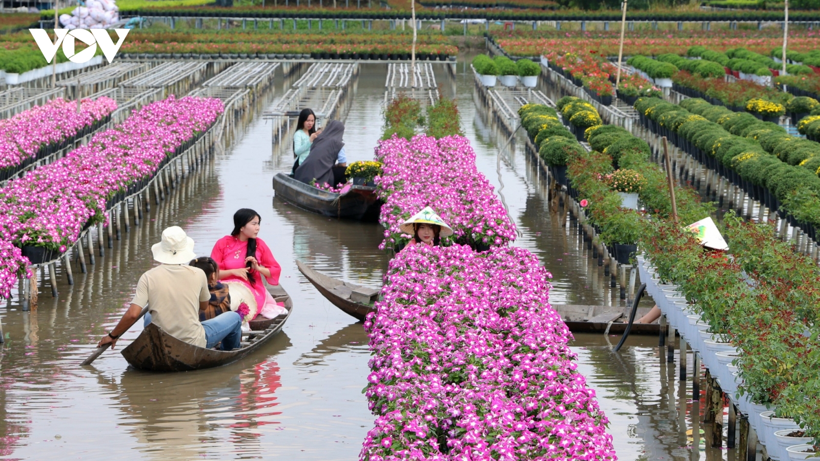 Đồng Tháp kết hợp giữa “xanh” và “số” để nâng tầm sản phẩm du lịch