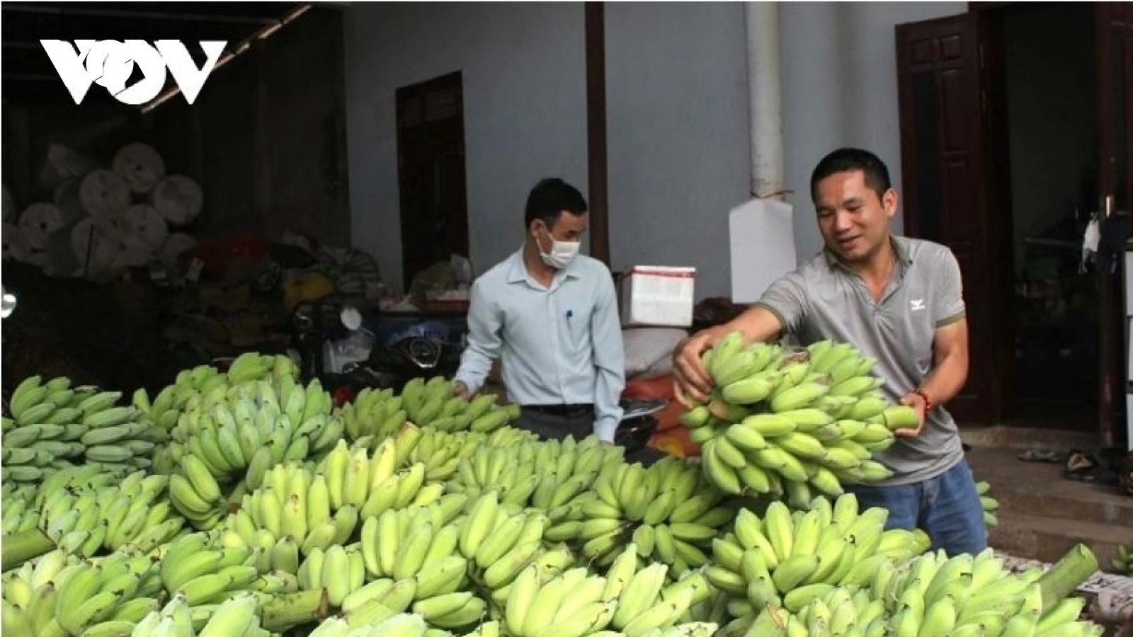 Sơn La phấn đấu giá trị hàng hóa xuất khẩu đạt 240 triệu USD trong năm 2026