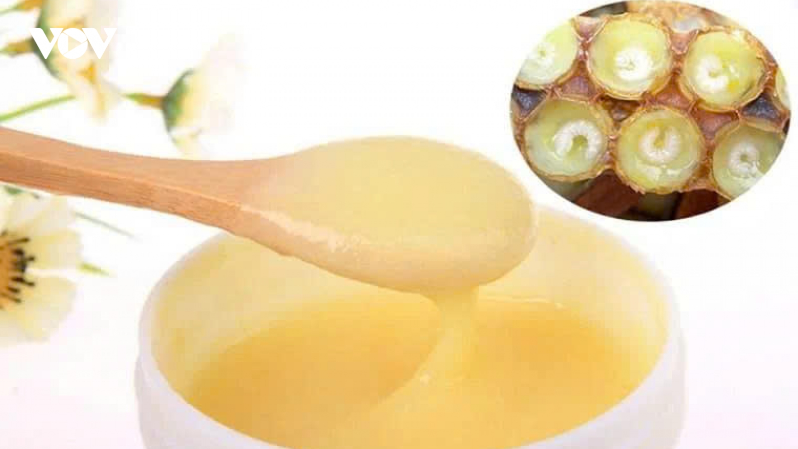 Sữa ong chúa có thực sự “thần kỳ” với phụ nữ? Sự thật ít người biết