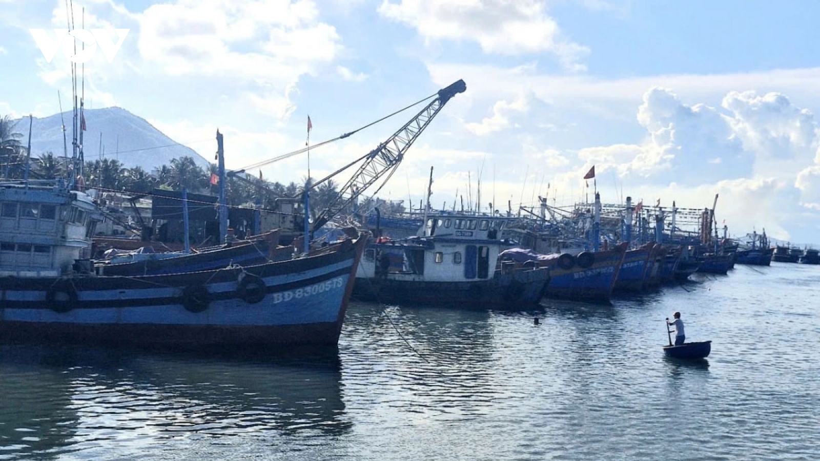 Gia Lai chi hơn 212 tỷ hỗ trợ ngư dân xả bản tàu, chuyển đổi nghề