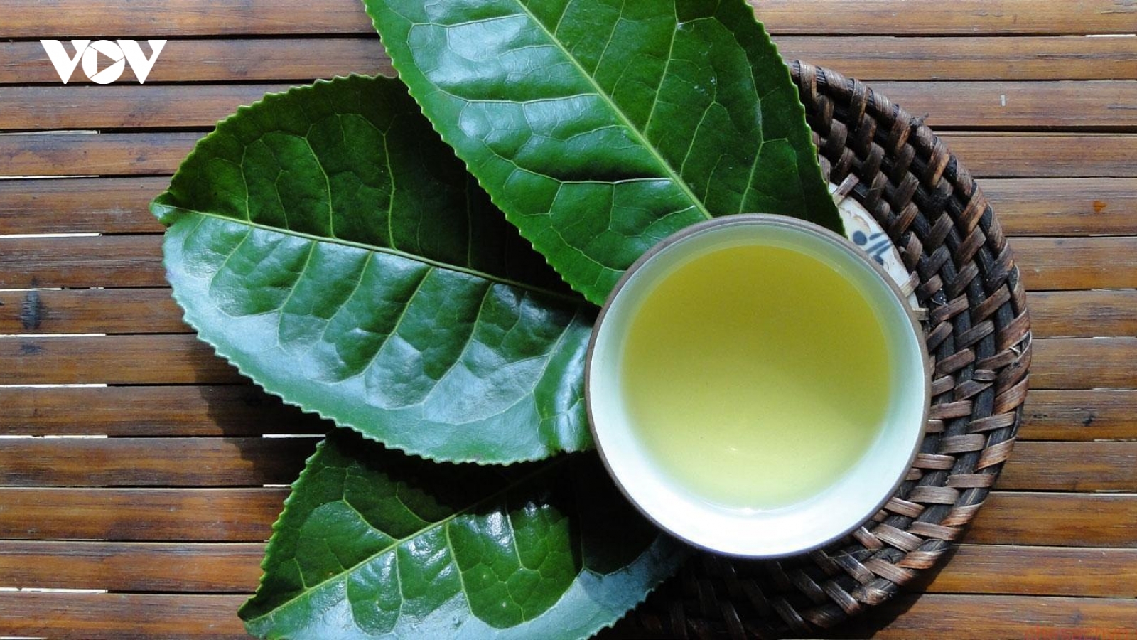 Trà xanh tốt đến mấy uống kiểu này chẳng khác gì tự hại mình lại ít người biết