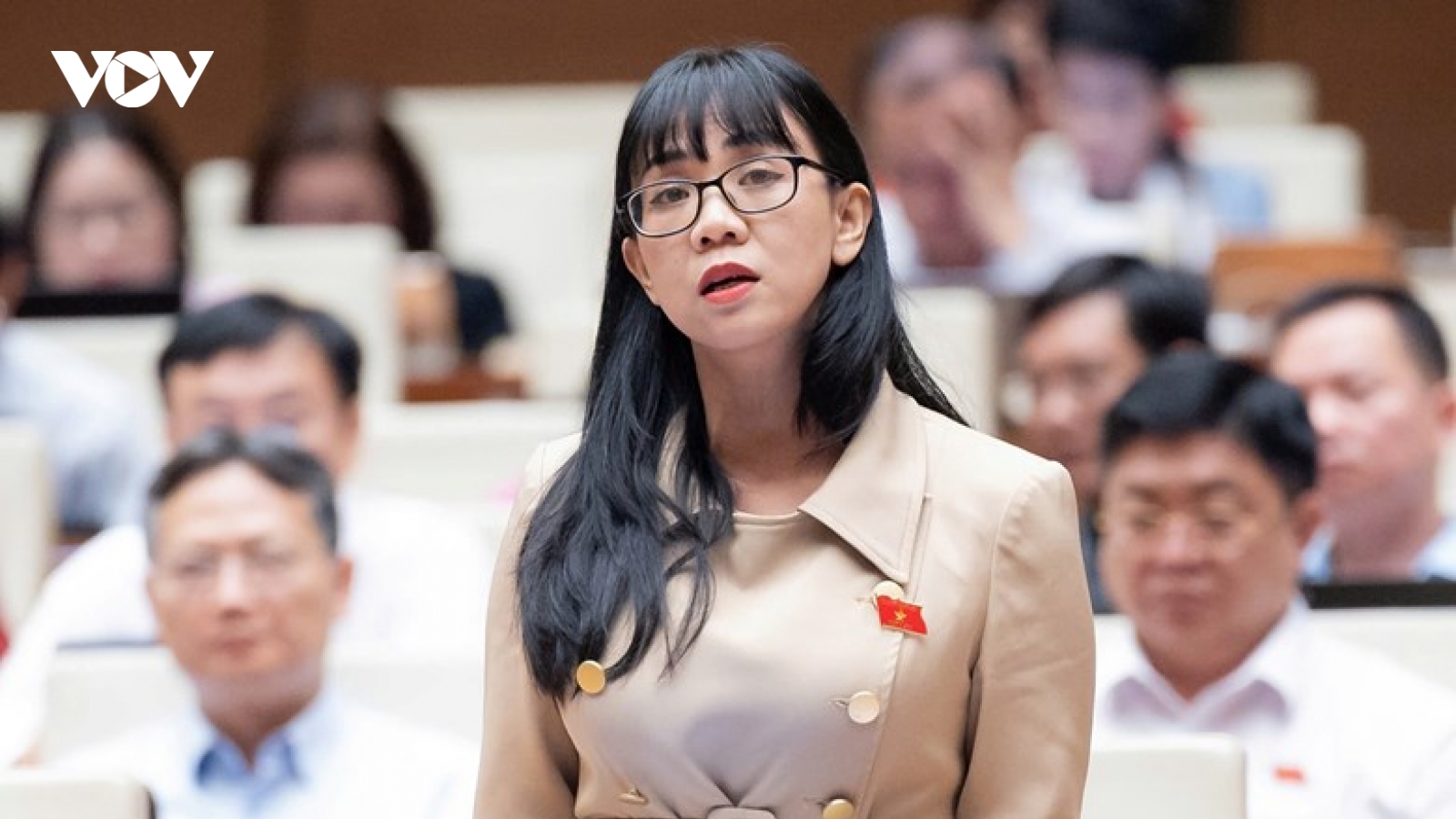 Đại biểu Quốc hội ủng hộ việc thành lập thành phố Đồng Nai