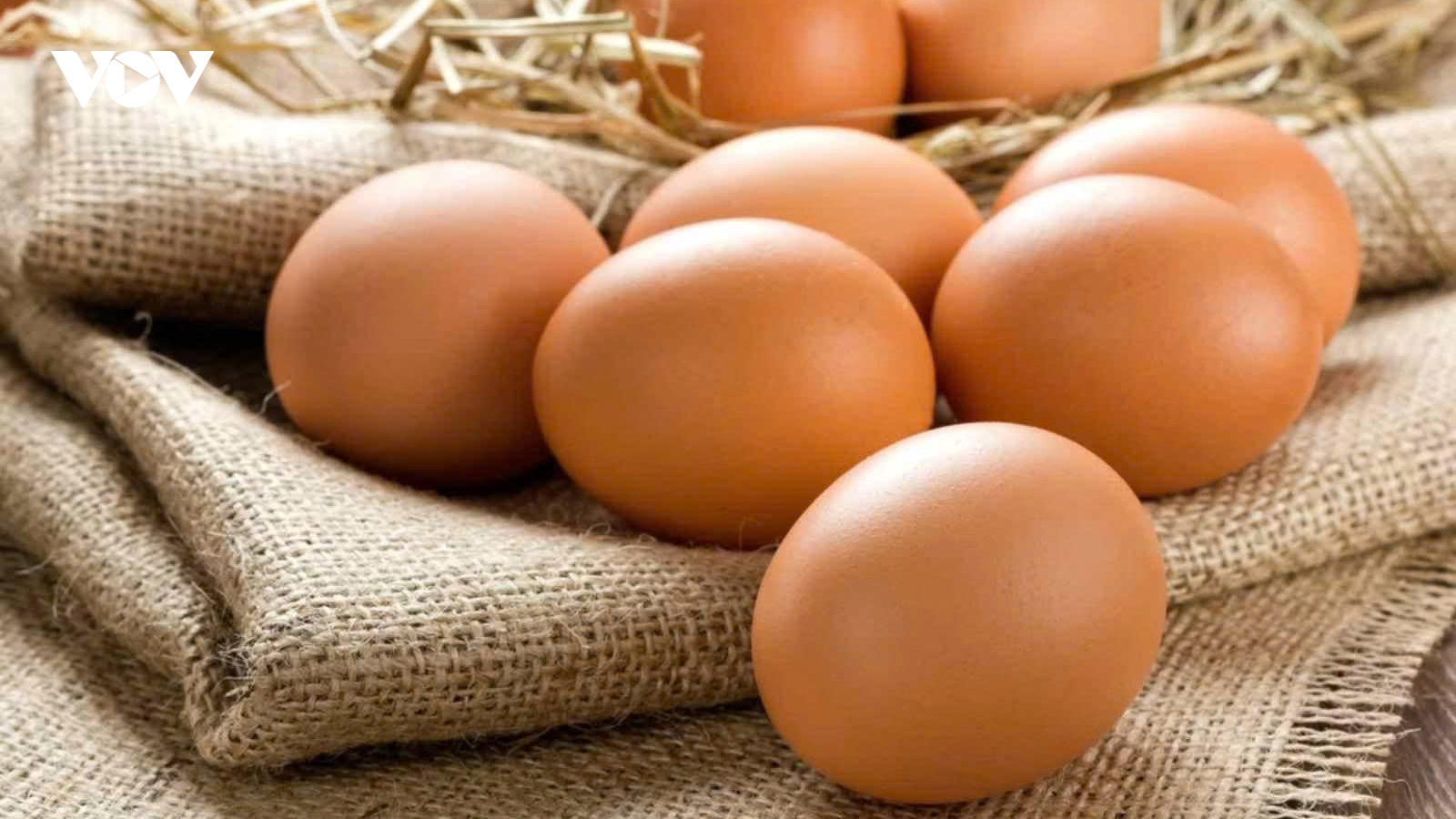 Trứng gà công nghiệp có thực sự “kém chất lượng” như lời đồn?