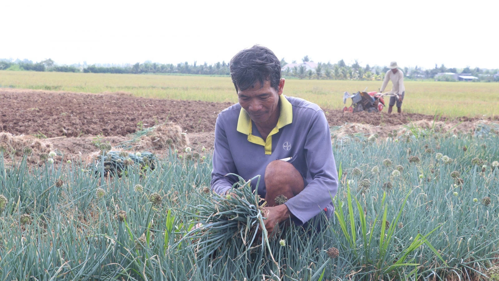 Chính sách tiếp sức đồng bào Khmer vươn lên