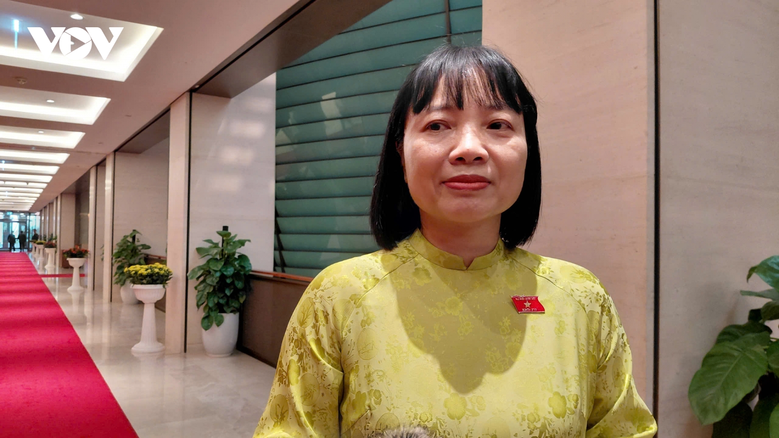 ĐBQH kỳ vọng bộ máy lãnh đạo mới sẽ phản ứng nhanh, kịp thời với chính sách