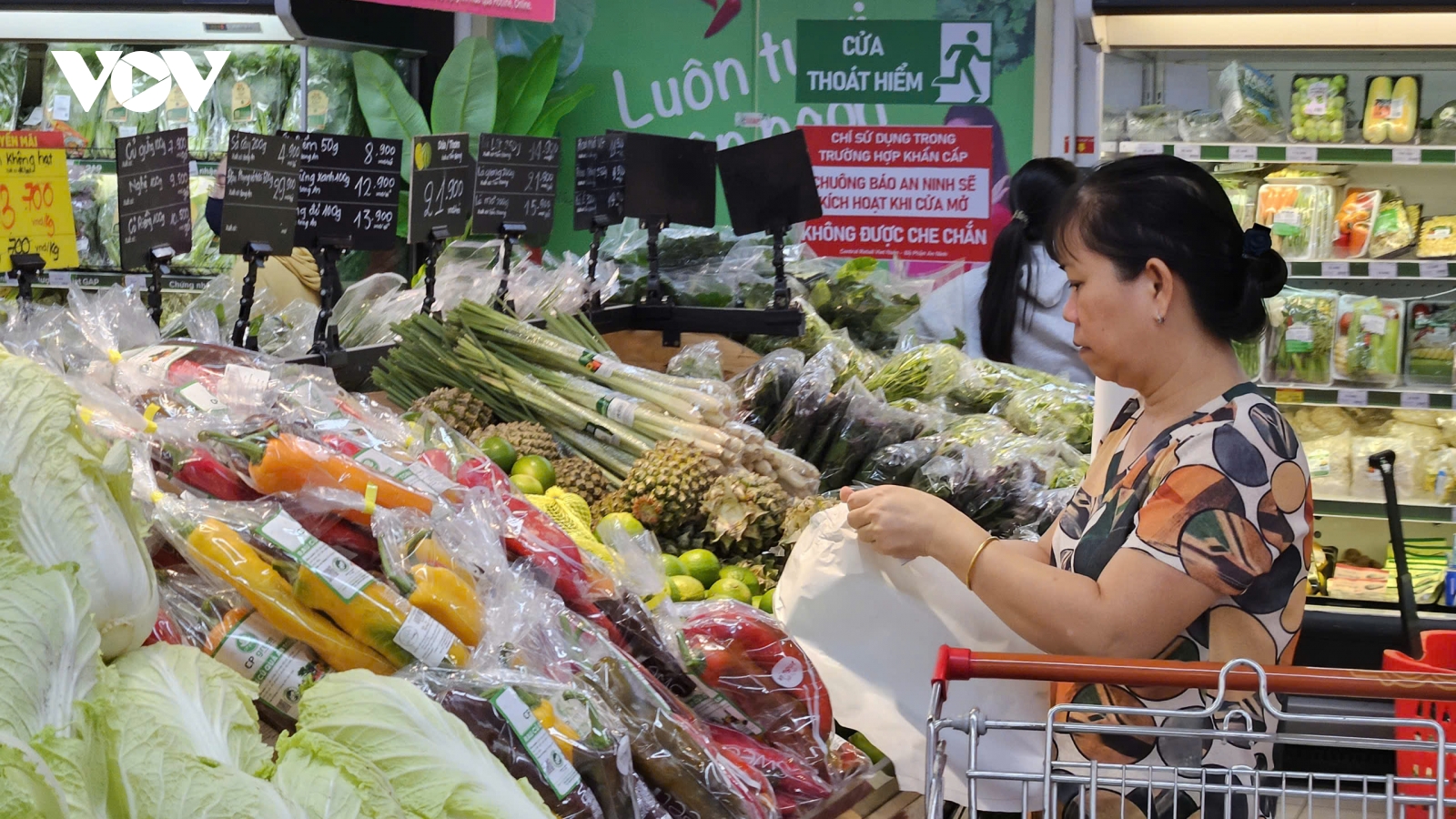 Tạm dừng Nghị định 46, doanh nghiệp chờ sửa luật theo hướng nào?