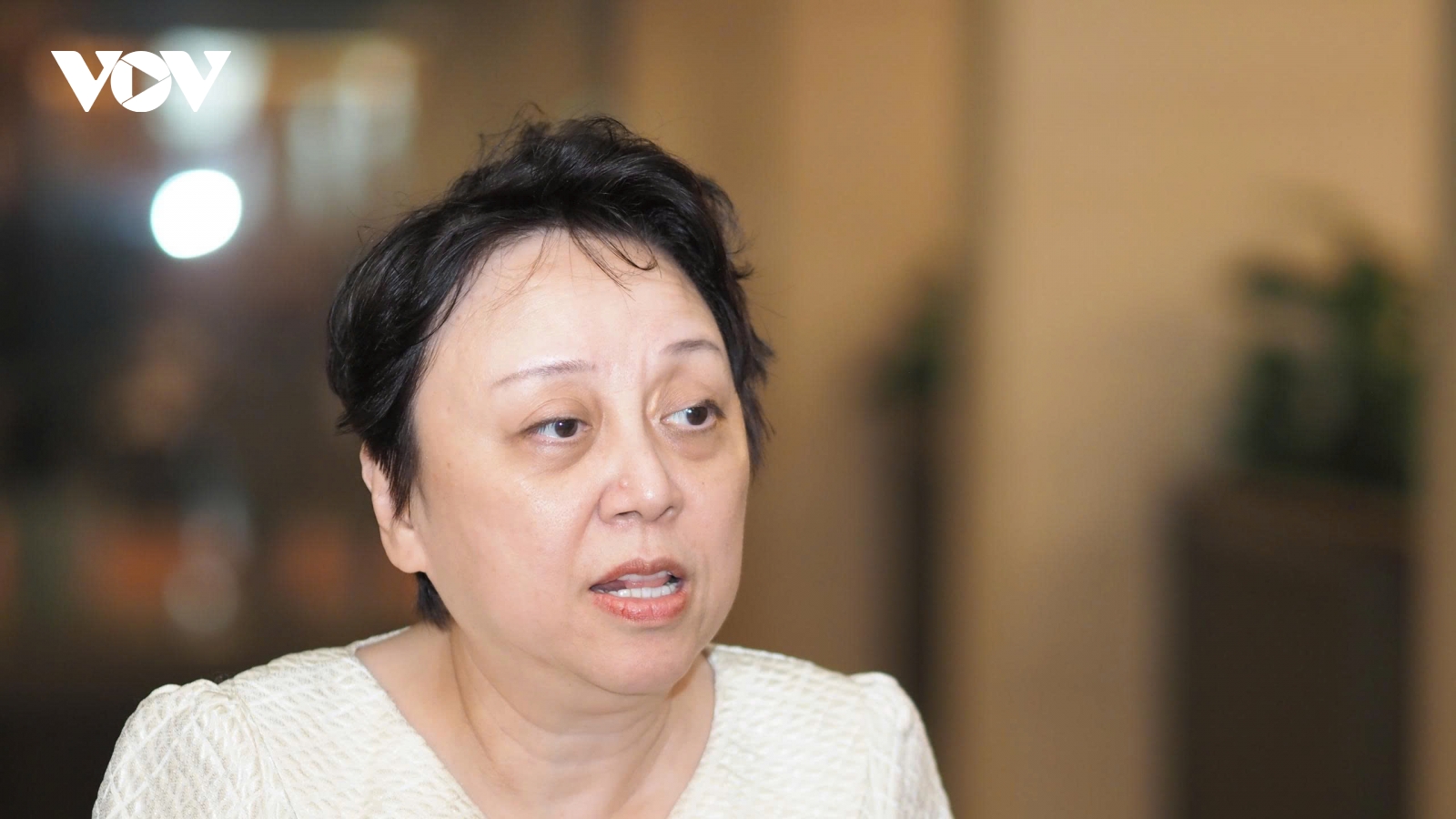 ĐBQH: Vẫn "lọt lưới" hàng giả, hàng gia công gắn mắc hàng nhập khẩu