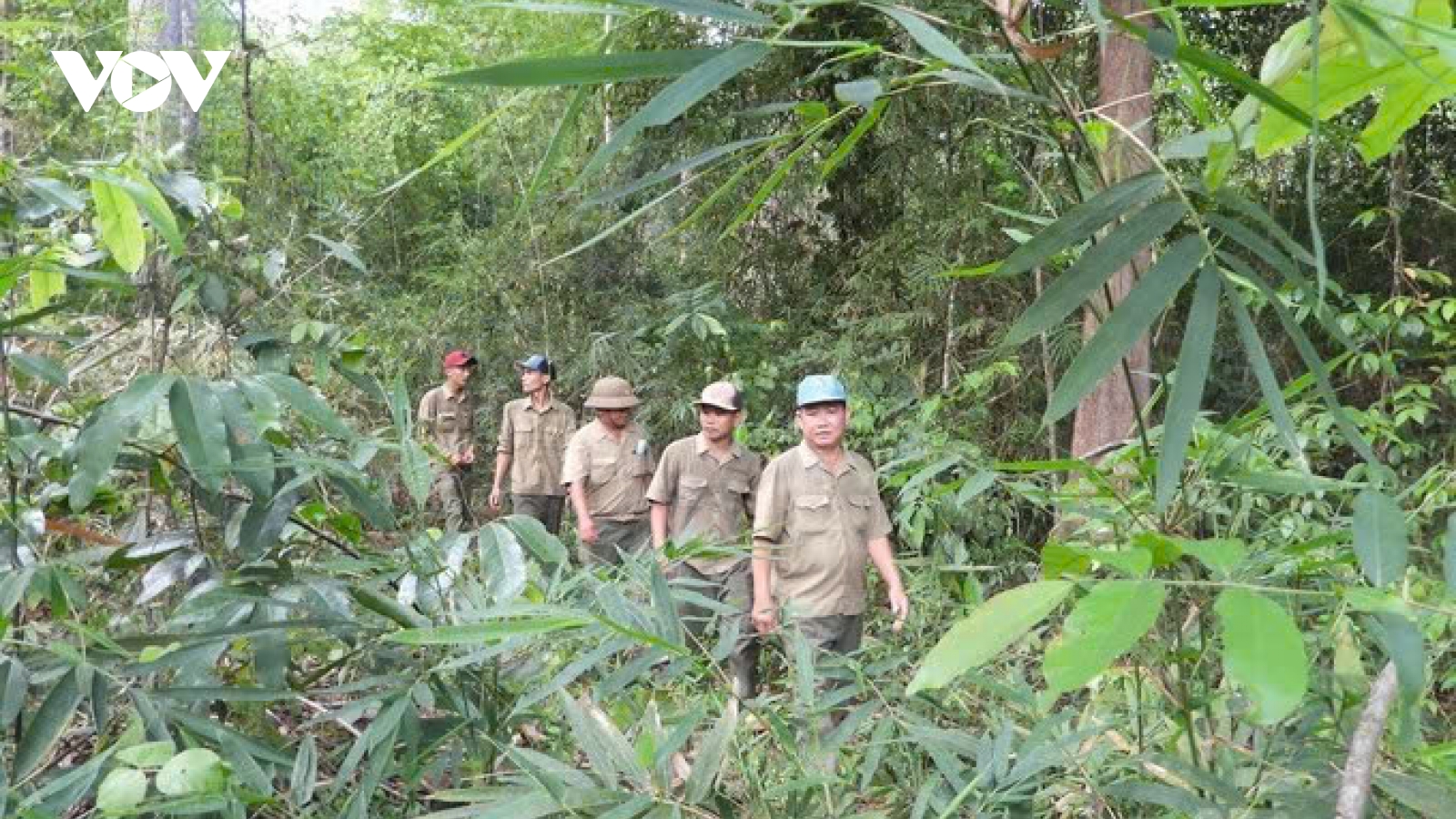 Tây Ninh tăng cường biện pháp bảo vệ rừng trước cảnh báo cháy cấp 5